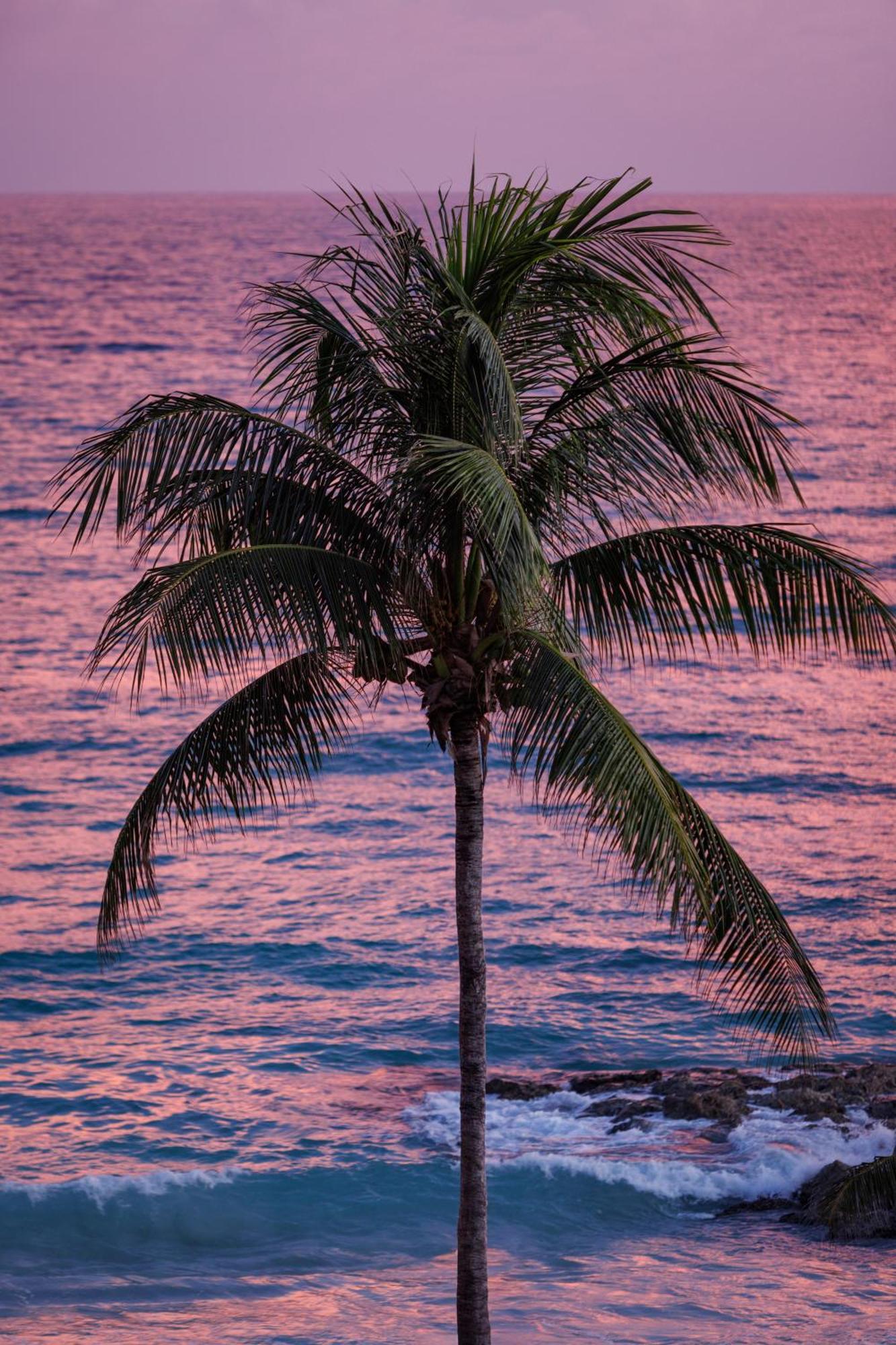 Sandals Barbados All Inclusive - Couples Only (Adults Only) Christ Church Exterior photo